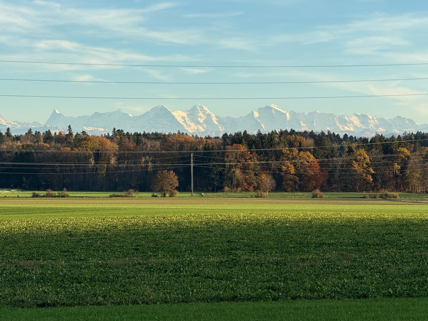 Immobilie in Aetingen - Modernes Wohnen im Buechibärg - Bild 5