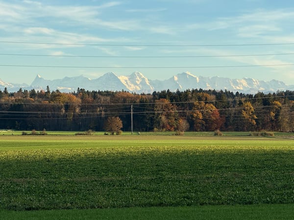 Modernes Wohnen im Buechibärg 6