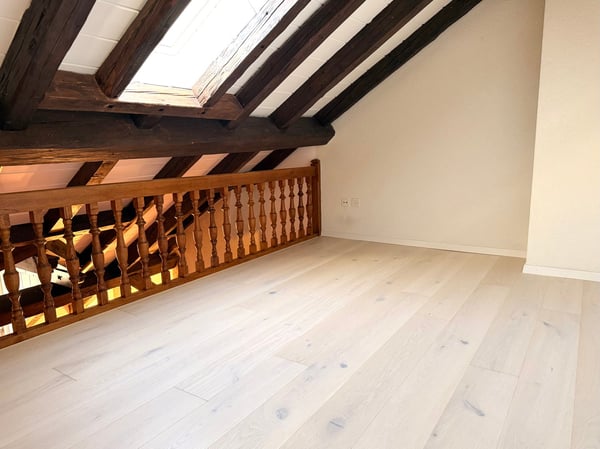 Duplex spacieux avec mezzanine et loft 1