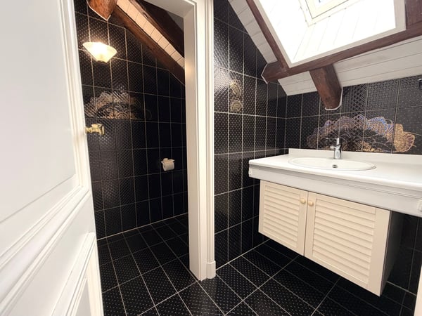Duplex spacieux avec mezzanine et loft 6