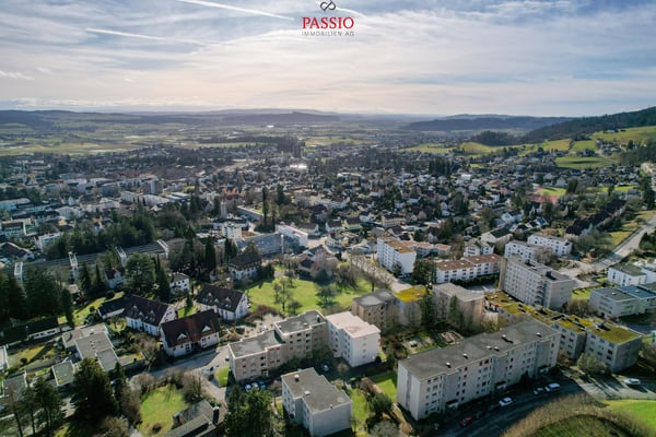 1.5-Zi-Wohnung mit unverbaubarem Alpenblick - Einziehen & Wohlfühlen 13