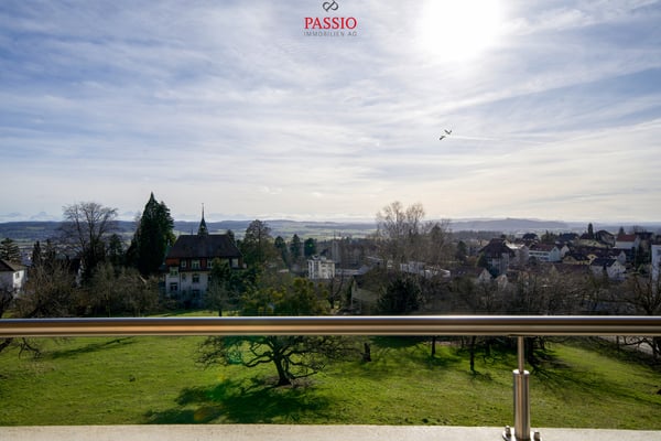 1.5-Zi-Wohnung mit unverbaubarem Alpenblick - Einziehen & Wohlfühlen 12