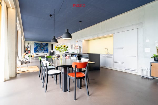 Exklusive Loft-Wohnung mit grosser Terrasse und Weitblick 7