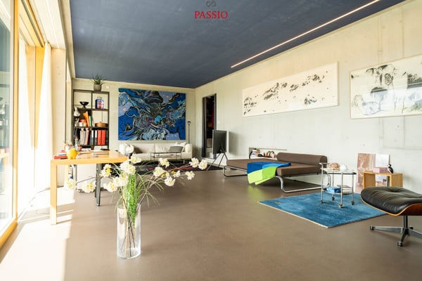 Exklusive Loft-Wohnung mit grosser Terrasse und Weitblick 13