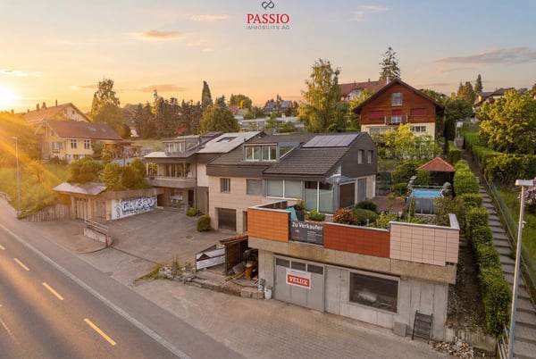 7-Zimmer 2-Familienhaus mit Studio, Gewerbefläche & Alpenblick 1