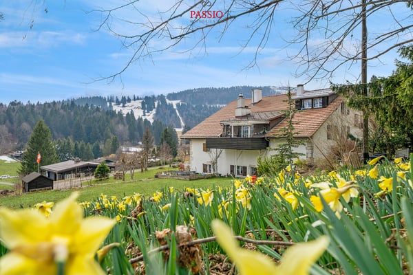 Charmante 4.5-Zimmer-Wohnung mit Cheminée und Alpenblick 2