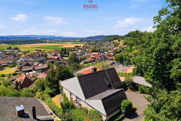 Sanieren oder neu bauen - Liegenschaft und 1'532 m² Grundstück 3