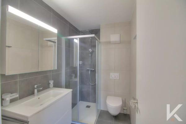 Appartement de 4.5 pièces 10