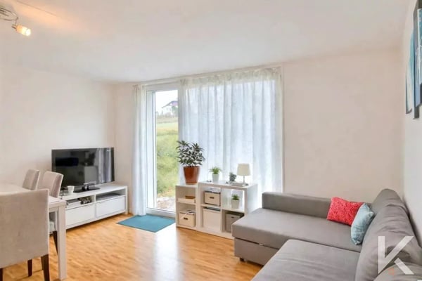 Appartement de rendement 3.5 pièces à Attalens 3