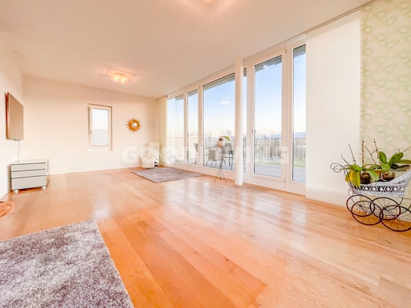 Attikawohnen mit Weitblick - nahe Basel 3