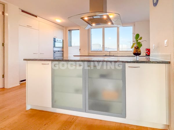 Attikawohnen mit Weitblick - nahe Basel 8