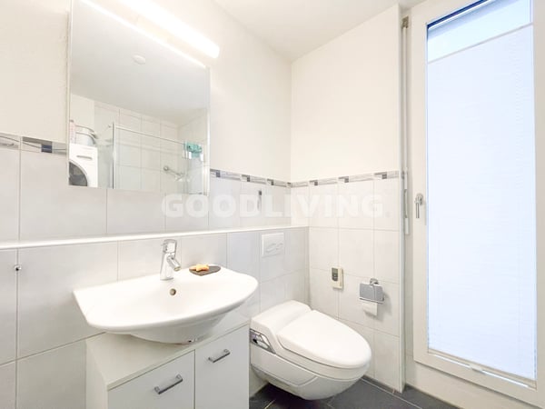 Attikawohnen mit Weitblick - nahe Basel 10