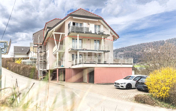 Duplex avec galerie et grand volume 2