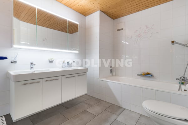 Duplex avec galerie et grand volume 6