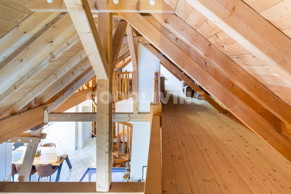 Duplex avec galerie et grand volume 7
