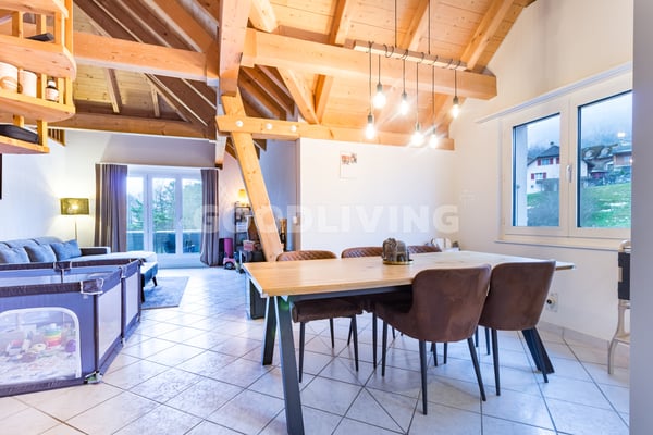 Duplex avec galerie et grand volume 1