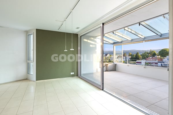 Wohnkomfort mit grosser Terrasse 3