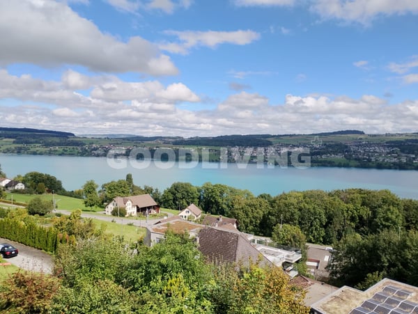 Birrwil
