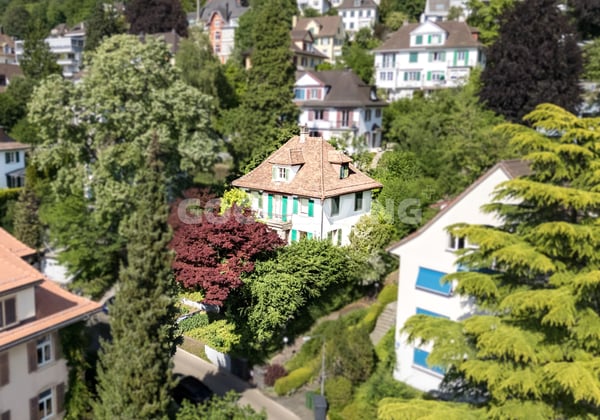 Charmante Liegenschaft am Zürichberg mit Potenzial 2