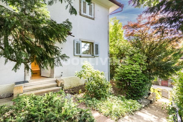Rarität mit Potenzial am Zürichberg 2