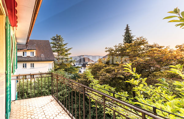 Rarität mit Potenzial am Zürichberg 5