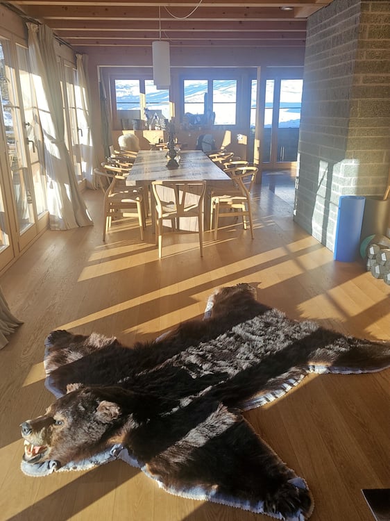 Lichtdurchflutetes Chalet - Panoramasicht und höchste Privatsphäre 3