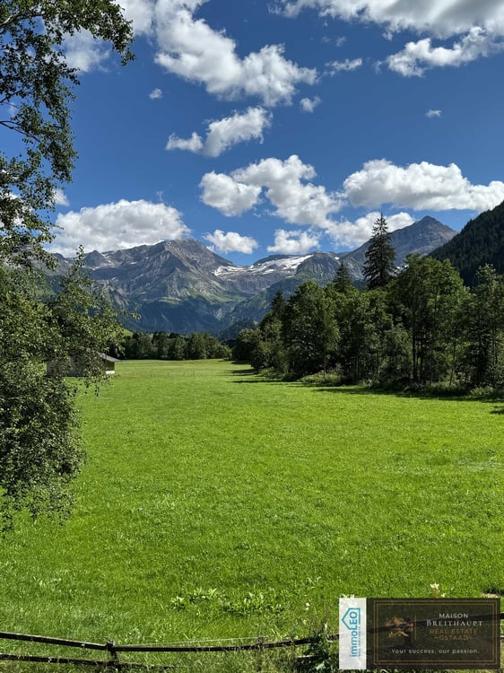 Idyllisches 5½-Zimmer Neubau-Chalet mit Bergsicht 3
