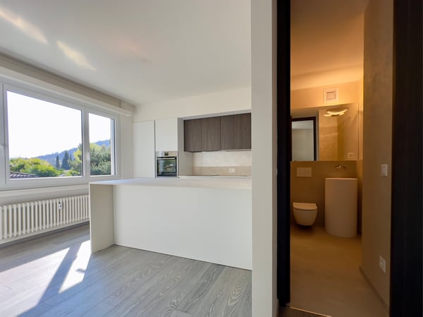 APPARTAMENTO 1.5 LOCALI RISTRUTTURATO - IN PALAZZINA CON PISCINA CONDOMINIALE 3