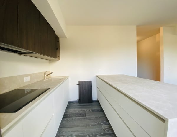 APPARTAMENTO 1.5 LOCALI RISTRUTTURATO - PISCINA CONDOMINIALE 4