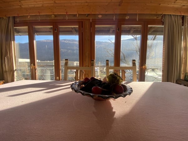 AMPIA CASA UNIFAMILIARE - 1.5 LOCALI CON GIARDINO 4