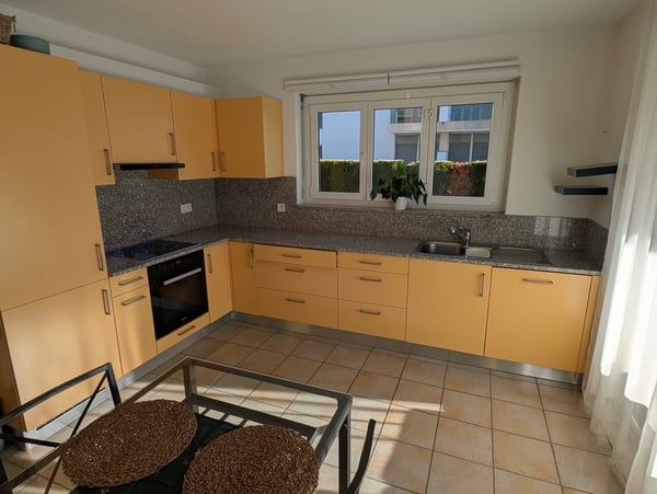 SOLIVO APPARTAMENTO 1.5 LOCALI CON GIARDINO PRIVATO 3