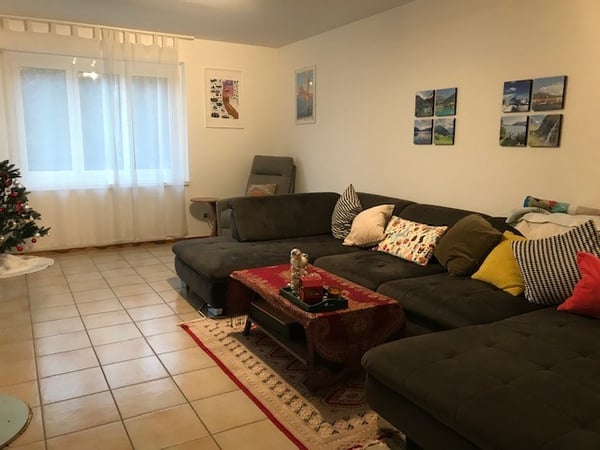 SOLIVO APPARTAMENTO 1.5 LOCALI CON GIARDINO PRIVATO 5