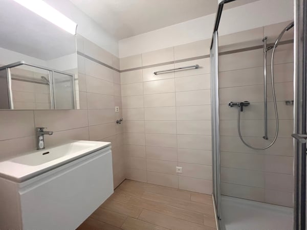 APPARTAMENTO 3.5 LOCALI MANSARDATO 8