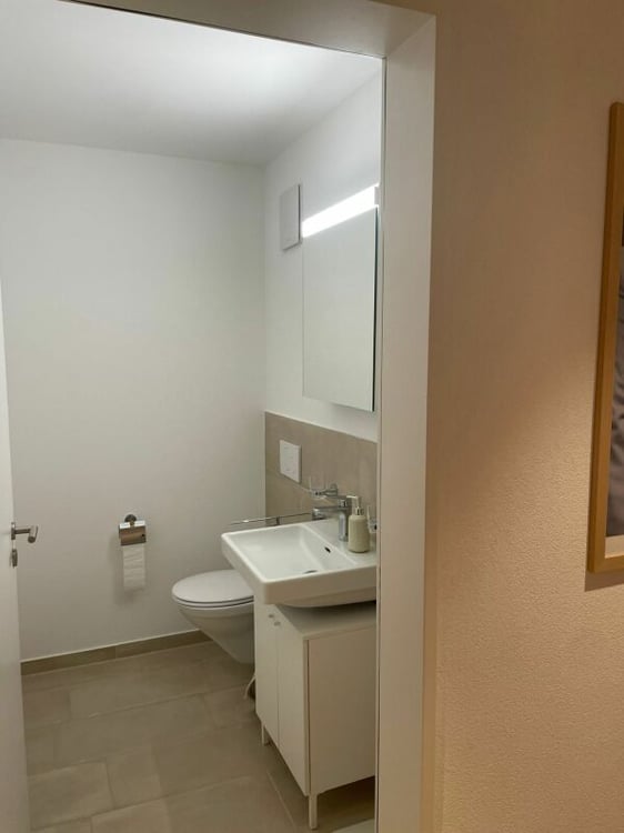 Wohnen mit viel Cachet in Lommiswil 5