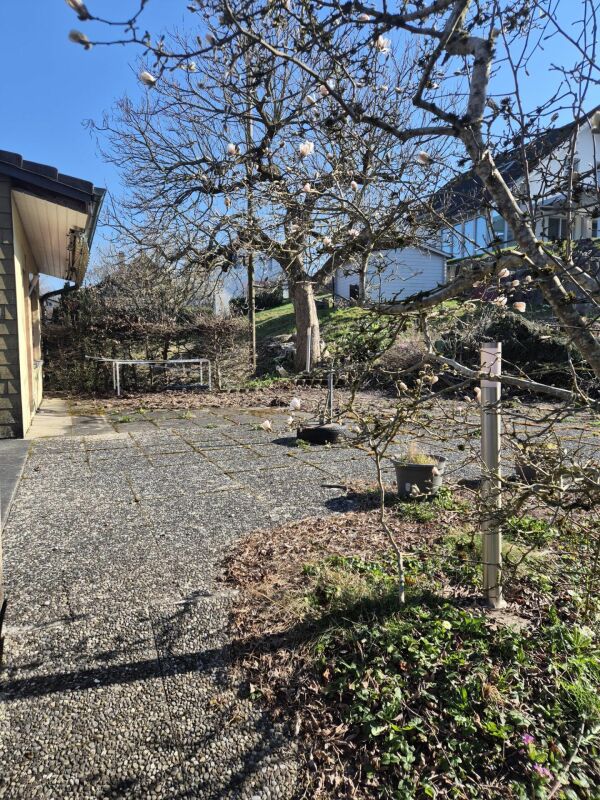 Casa multifamiliare con attività commerciale su riserva di terreno edificabile (1981 m2)
