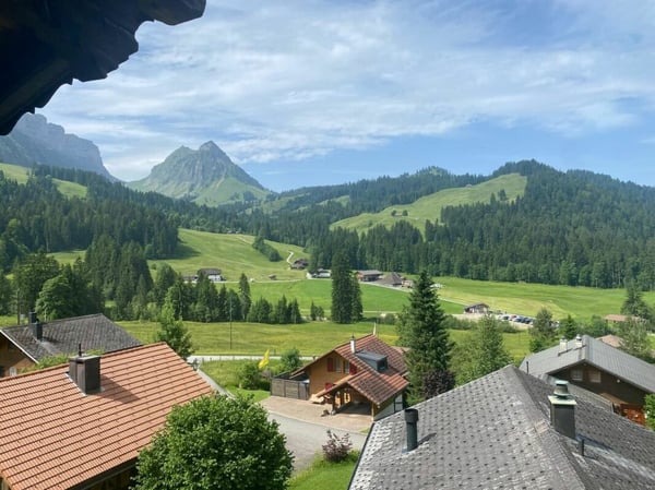 5.5 Zimmer-Dachwohnung 4