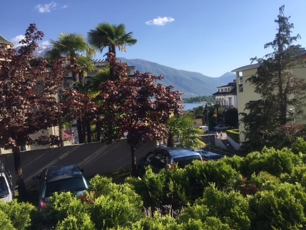 Affittasi appartamento di 2.5 locali con vista lago 7