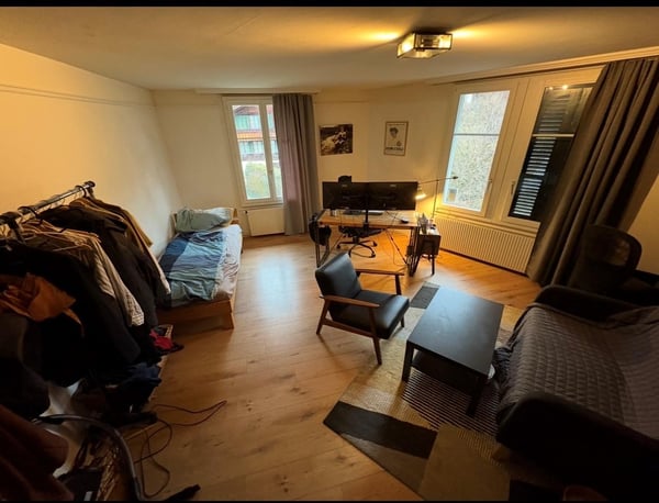 1.5 Zimmerwohnung mit Bergsicht 3