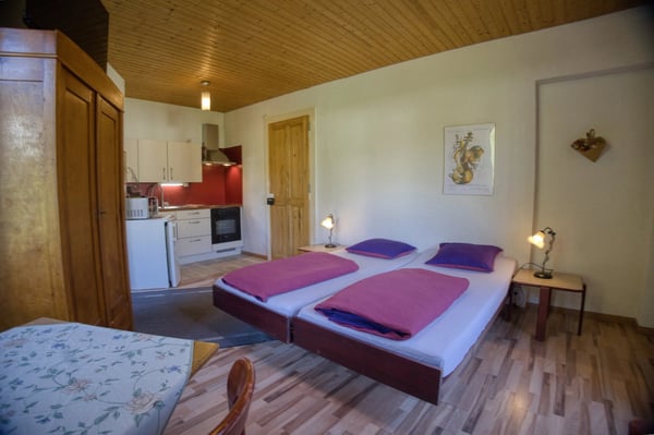 Old Character Hotel with Buildable Land ? Great Potential for Enhancement 9