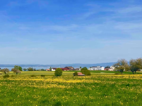 Modernes 1½-Zimmer-Reihenmittelhaus im Minergiestandard mit Solarfassade 14
