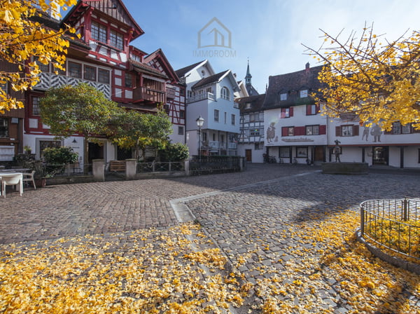 Altstadthaus mit Geschichte und Perspektiven 4