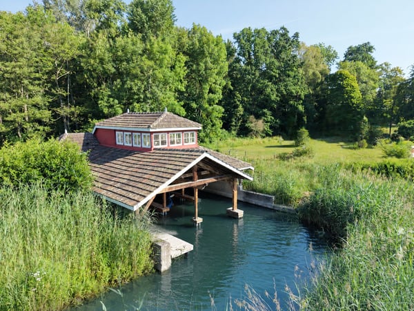 Maison de maître historique, parc arboré et hangar à bateaux privé sur le lac de Neuchâtel 19