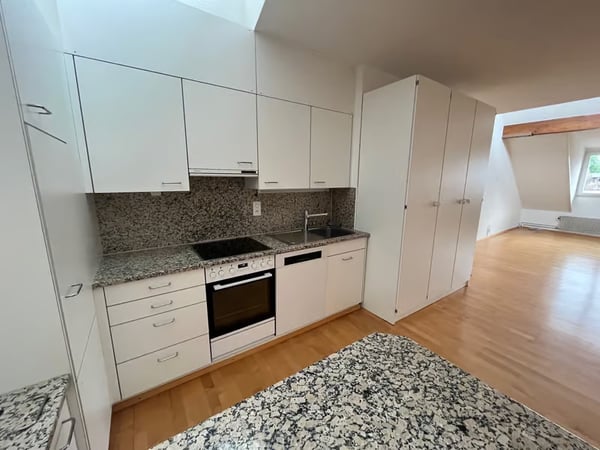 Charmante 1.5-Zimmer-Wohnung mit Dachterrasse im Herzen von Zürich 4