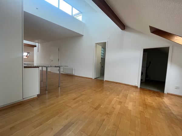 Charmante 1.5-Zimmer-Wohnung mit Dachterrasse im Herzen von Zürich 12