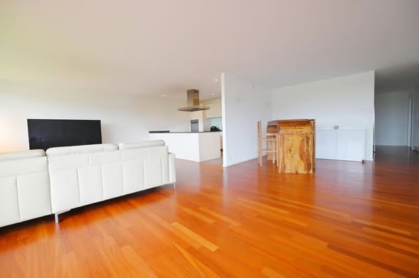 Helle 4.5-Zimmer-Wohnung mit Balkon und Stadtblick in Dübendorf 5