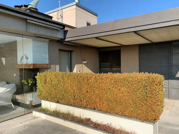 Preview image of the real estate