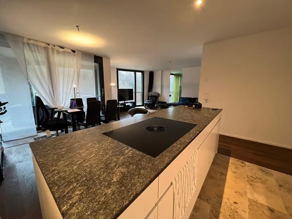 Helle 2.5-Zimmer-Wohnung mit Balkon und traumhafter Aussicht in Zürich-Manegg 3