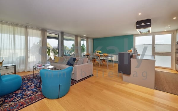 Luxuriöse 5½-Zimmer-Attikawohnung mit Panoramaterrasse 2