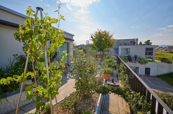 Luxuriöse 5½-Zimmer-Attikawohnung mit Panoramaterrasse 19