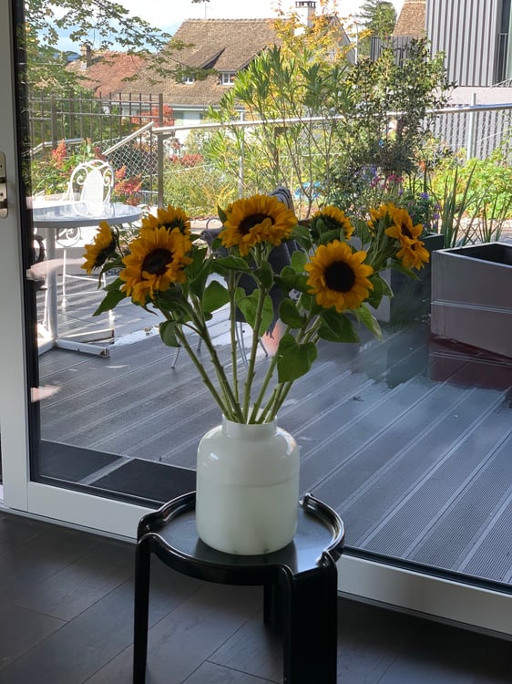 Exklusive Gartenwohnung im